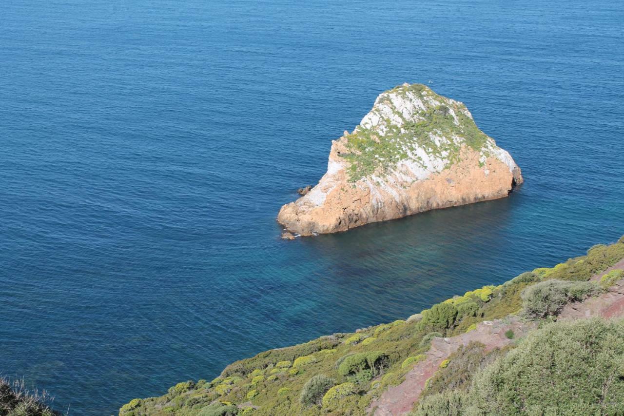 Villa Le Conchiglie Nebida Εξωτερικό φωτογραφία