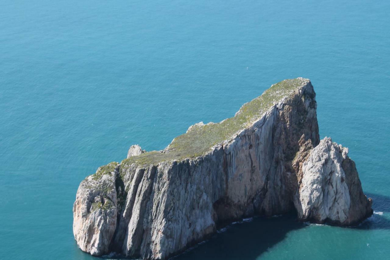 Villa Le Conchiglie Nebida Εξωτερικό φωτογραφία