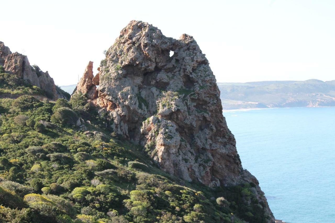 Villa Le Conchiglie Nebida Εξωτερικό φωτογραφία