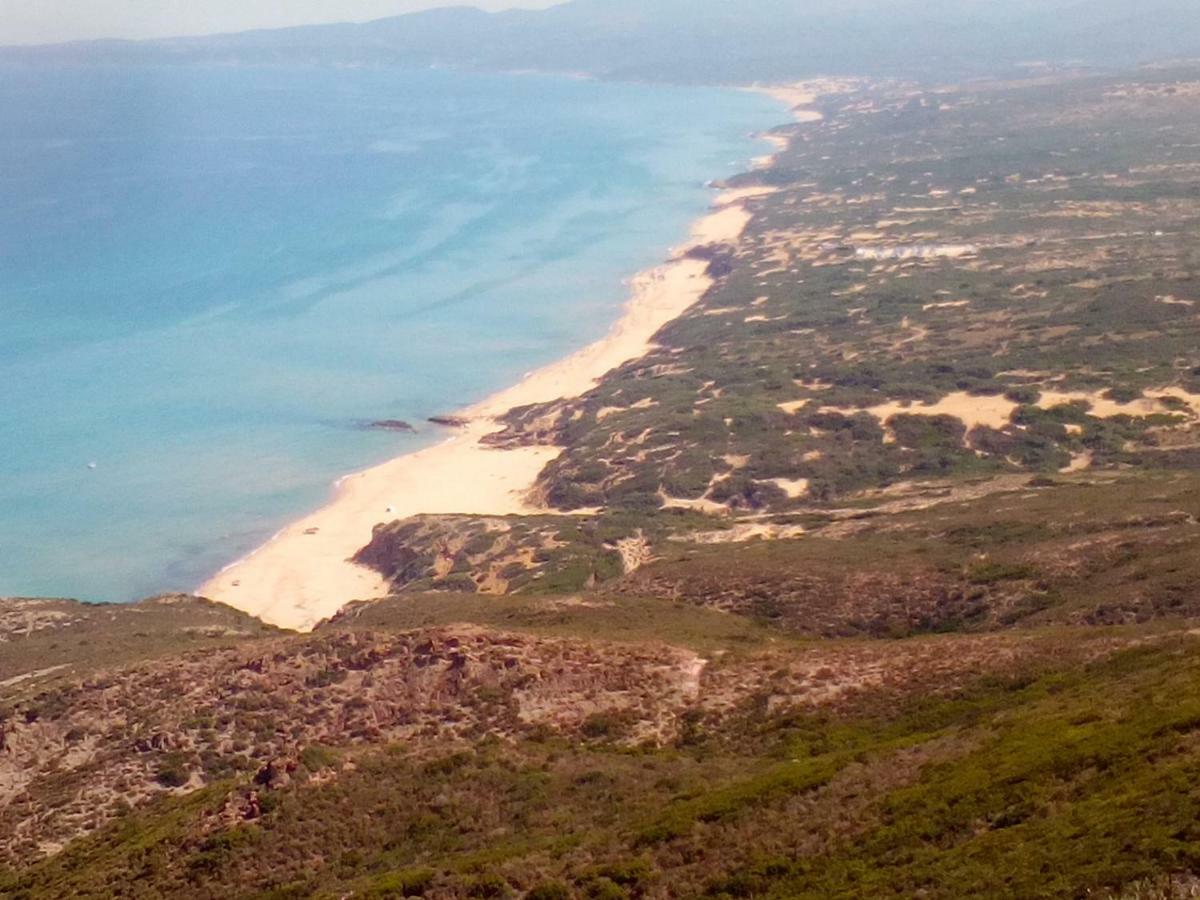 Villa Le Conchiglie Nebida Εξωτερικό φωτογραφία