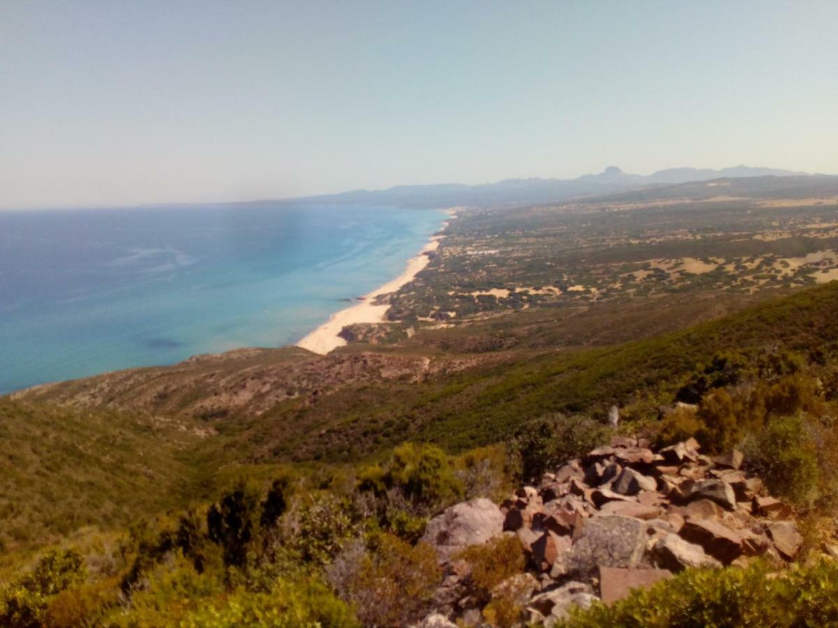 Villa Le Conchiglie Nebida Εξωτερικό φωτογραφία